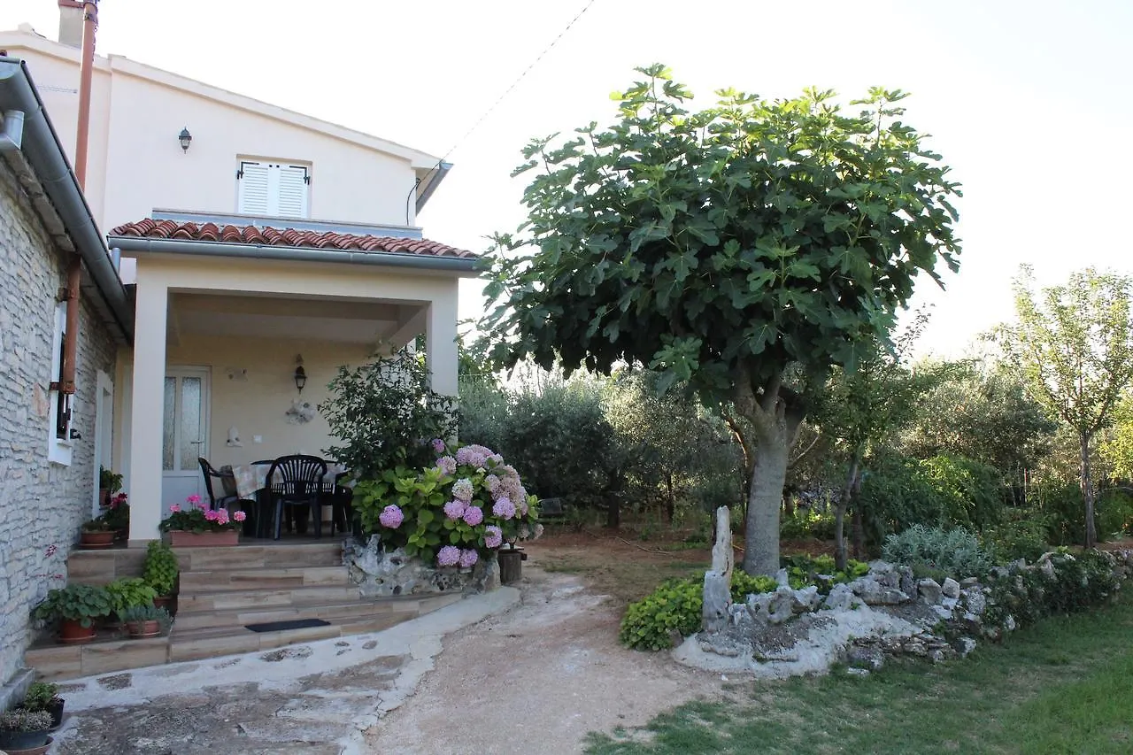 Haus Glavani Barban 0*,